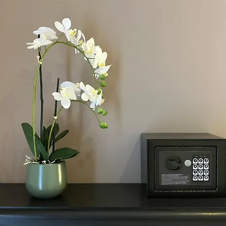 Le Manoir Des Sables - Familiale Grand Confort Couette-café Berthegon